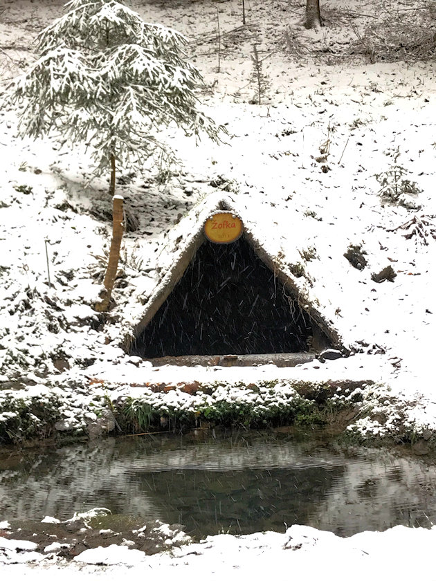 studánka Žofka (13686) - únor 2021