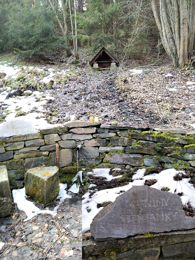 studánka Aniny studánky (13707) - únor 2021