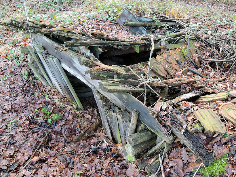 studánka V Zátiší (13713) - leden 2021