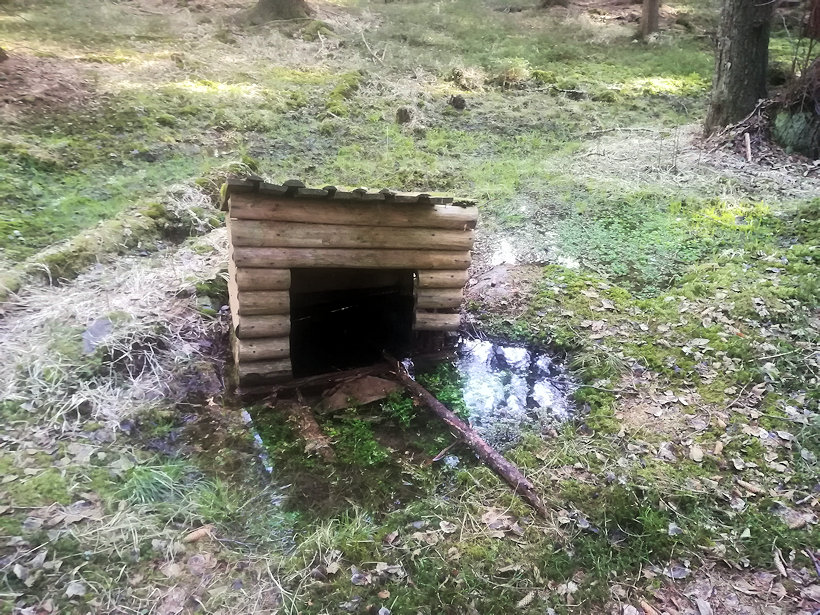studánka Pod pilskou  (13718) - březen 2021