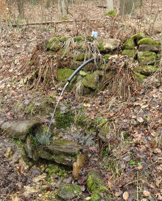 studánka bez jména (13722) - březen 2021