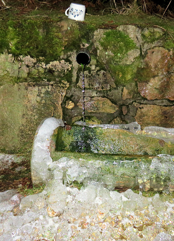 studánka bez jména (13723) - březen 2021