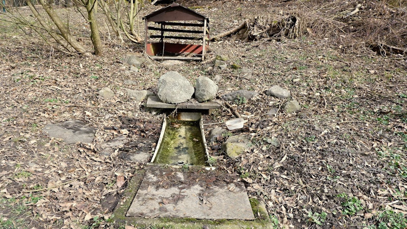 studánka bez jména (13724) - březen 2021