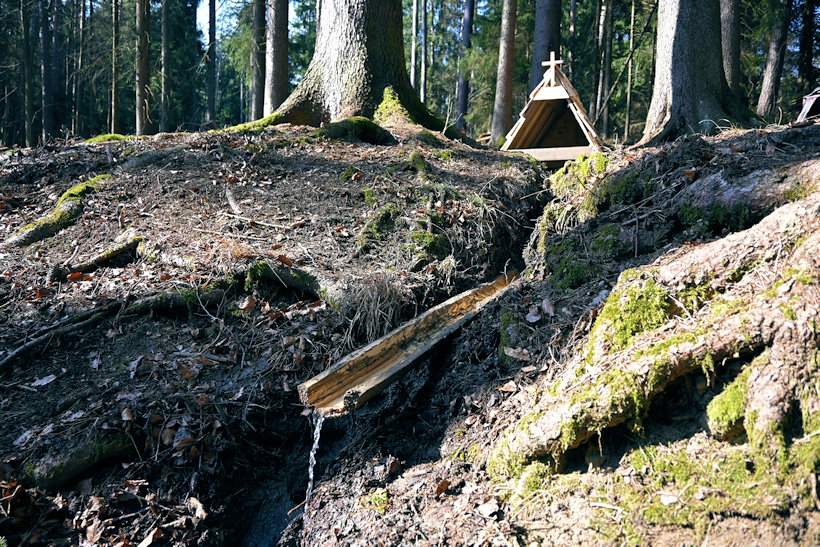studánka Schodnica  (13729) - březen 2021