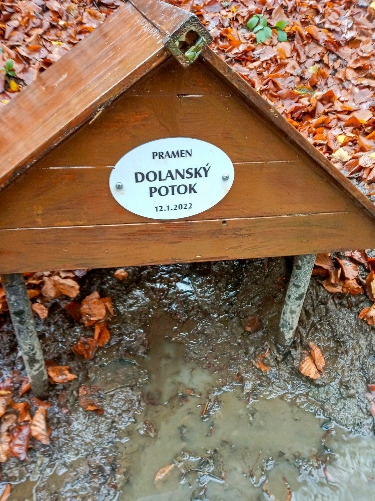 prameniště pramen Dolanského potoka (13733) - listopad 2024