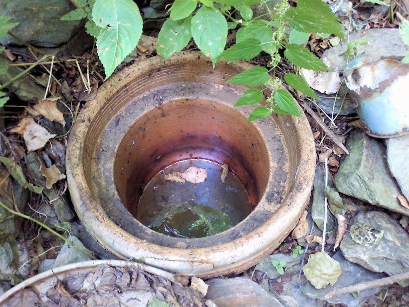 studánka Krukanice (13734) - březen 2021