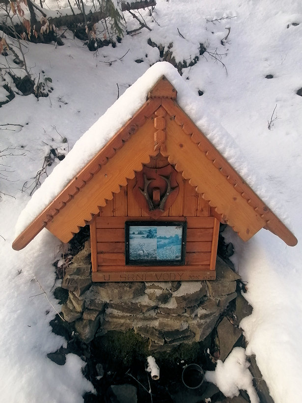 studánka U Srní vody (13738) - březen 2021