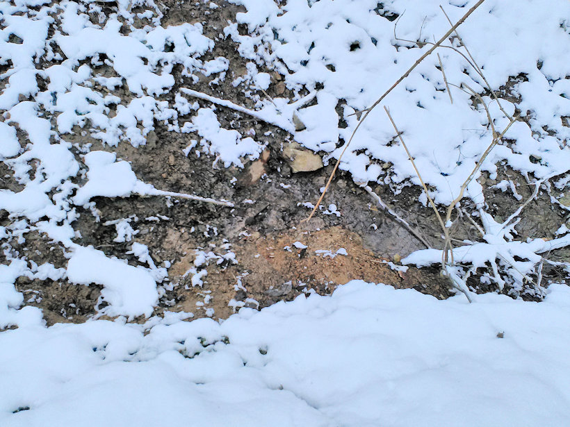 studánka Pramen Hořického potoka  (13745) - březen 2021