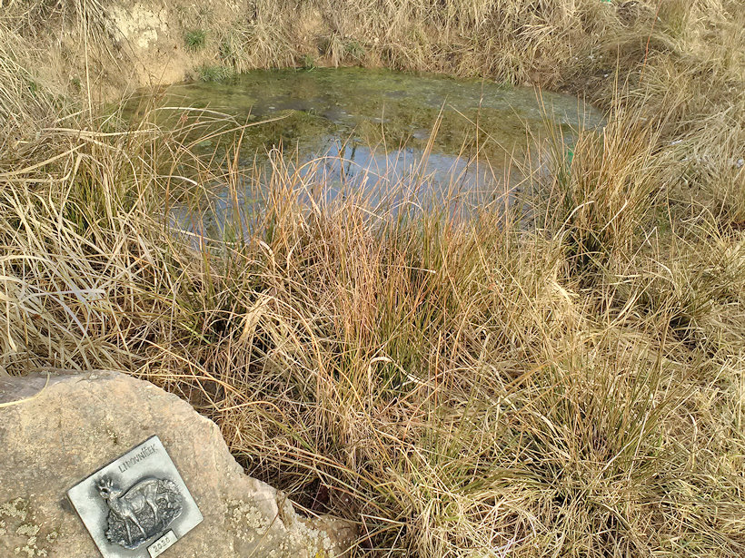 studánka Lipovníček (13748) - březen 2021