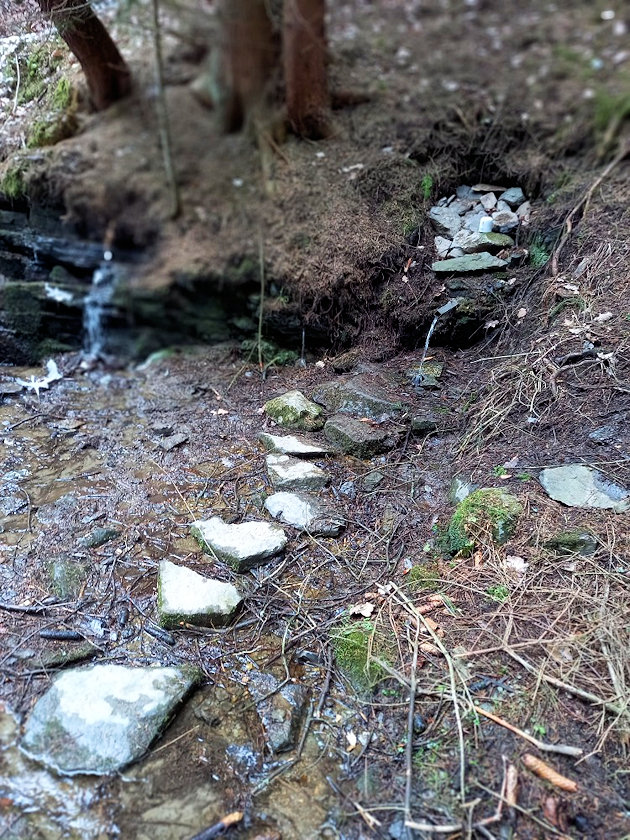 studánka bez jména (13749) - březen 2021