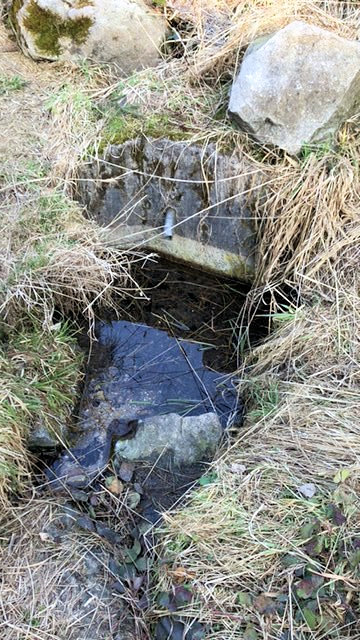 studánka Pod Machačovem (13755) - březen 2021