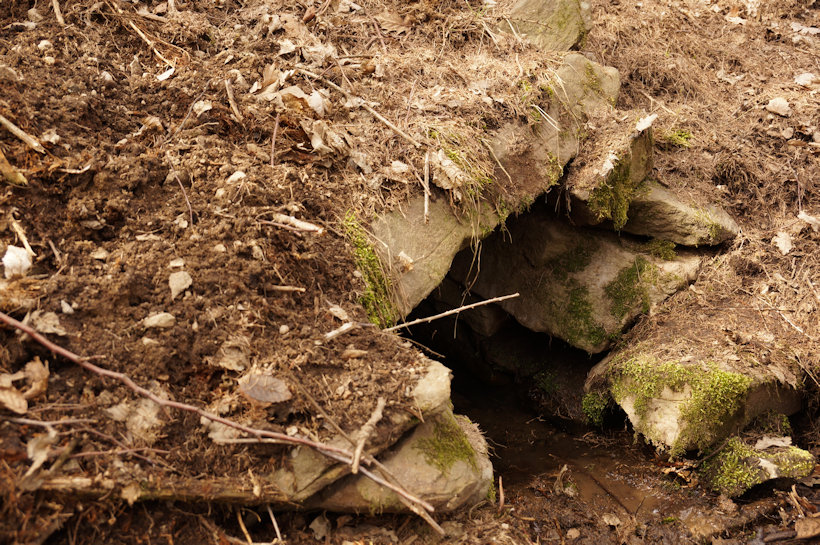 Vašíčkova studánka (13756) - březen 2021