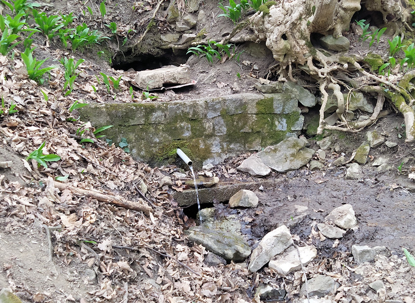 studánka bez jména (13758) - duben 2021