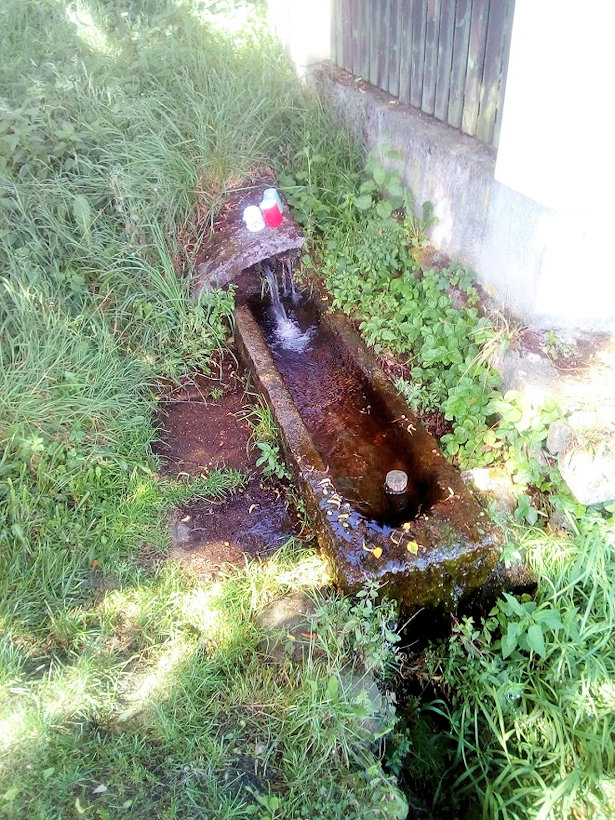 studánka bez jména (13782) - duben 2021