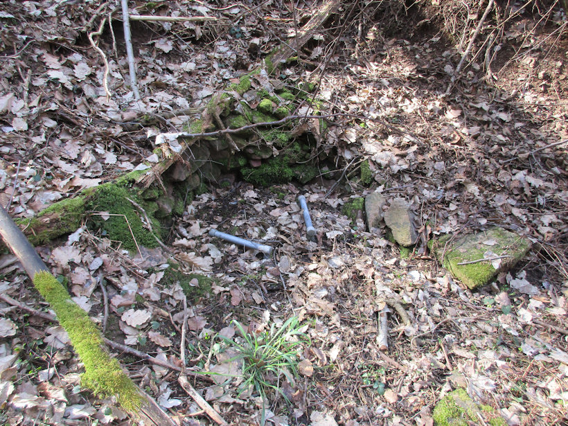studánka Zapomenutá (13787) - duben 2021