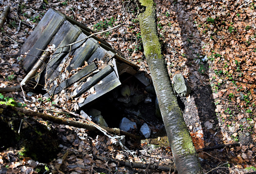 studánka Pod Strání (13792) - duben 2021