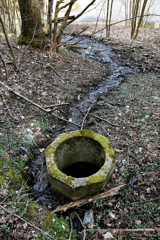 studánka Vojtěchov (13793) - duben 2021