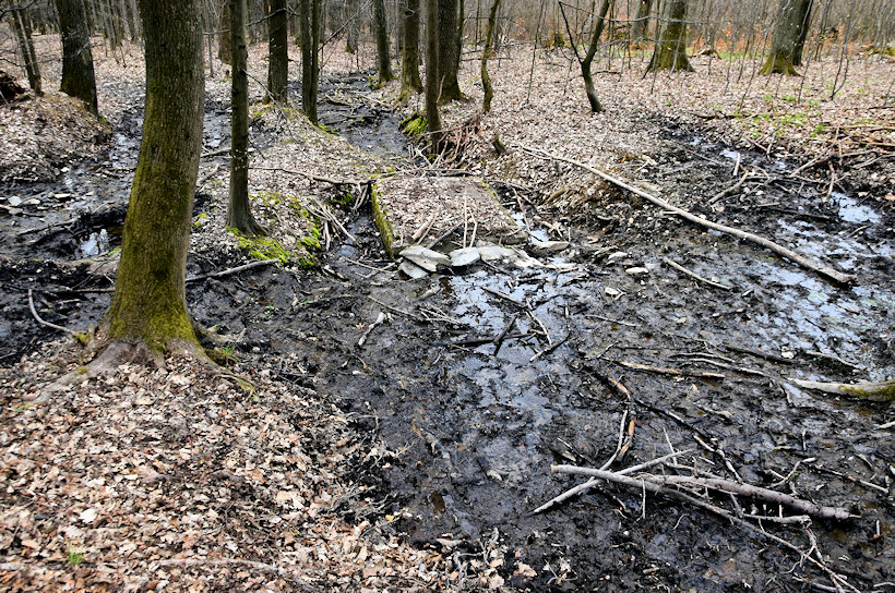 prameniště Pramen Řídečského potoka (13794) - duben 2021