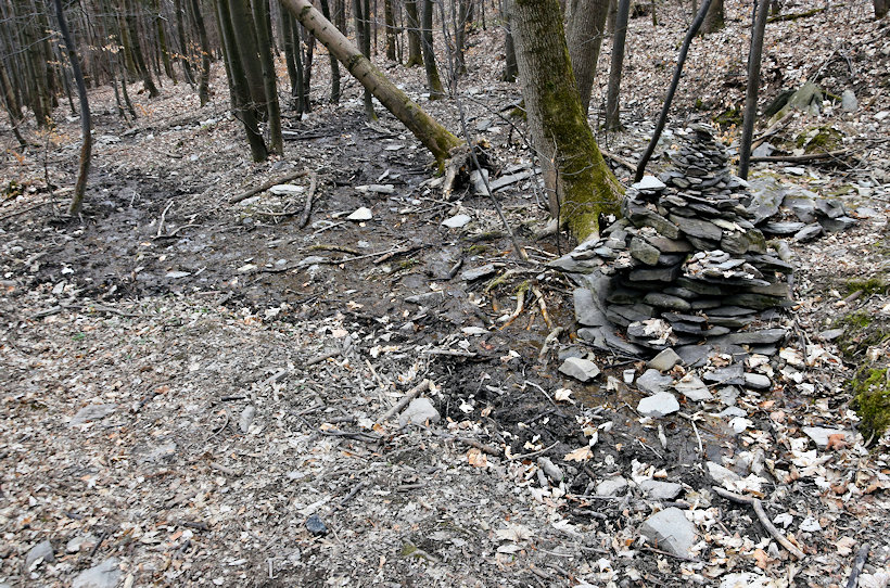prameniště U Oltářního kamene (13795) - duben 2021