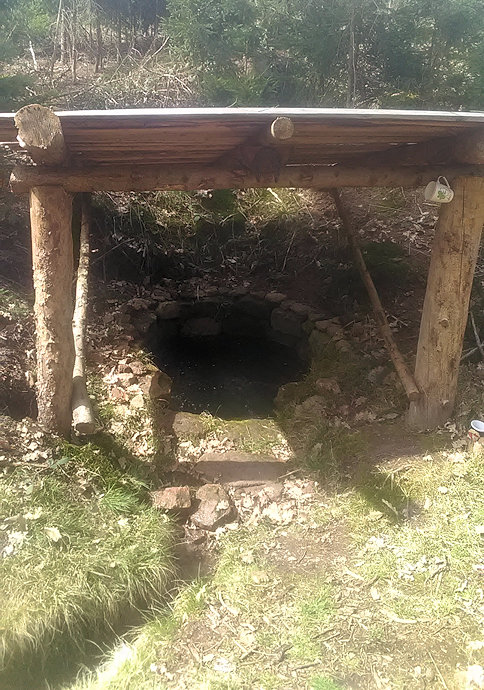 studánka Aldašín (13802) - duben 2021