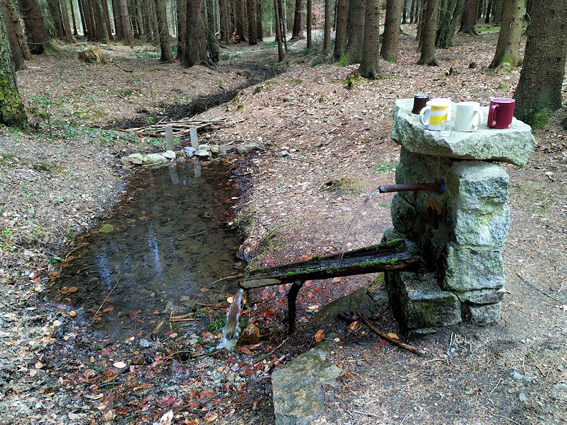 studánka Na Kopanině (13808) - duben 2021