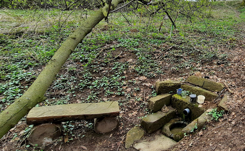 studánka bez jména (13823) - duben 2021