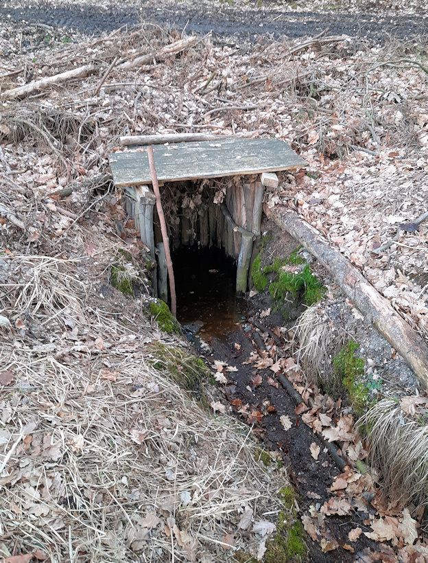 Hartova studánka (13825) - březen 2021