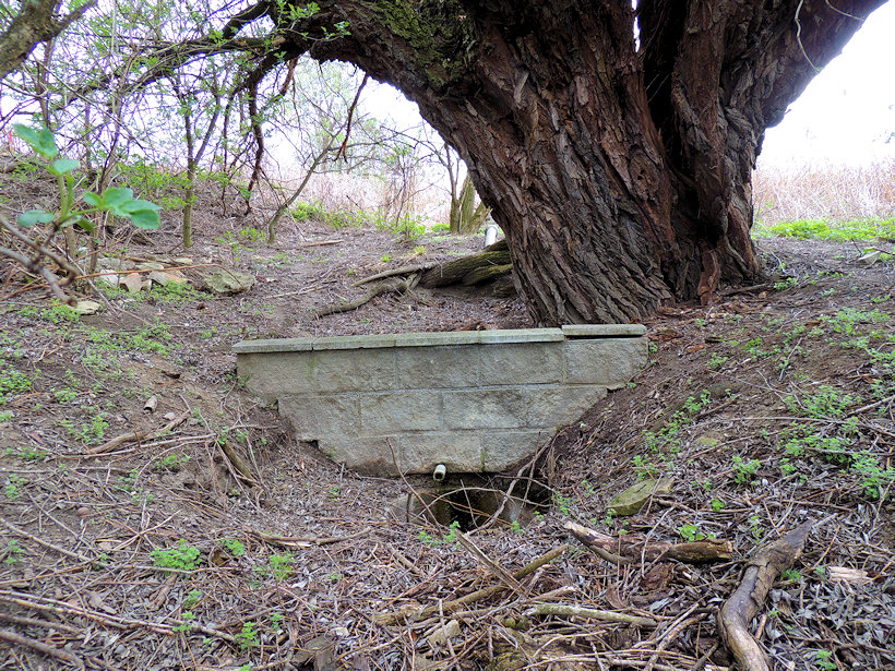studánka Pod Rovinami (13826) - duben 2021