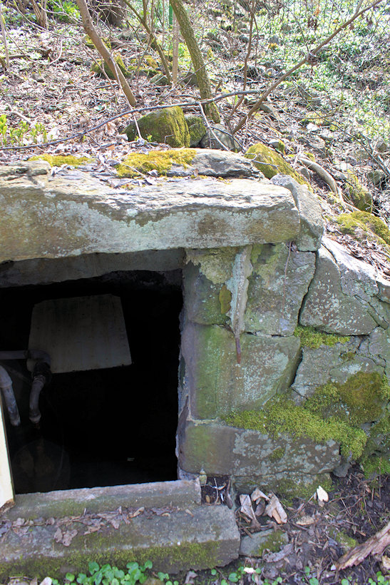 studánka Nad vodopádem (13827) - duben 2021