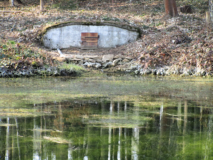 studánka bez jména (13831) - duben 2021