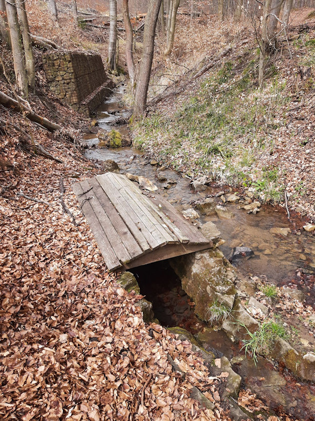 studánka Pod Sněženkovým kopcem (13835) - duben 2021