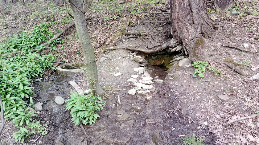 studánka Hranice (13843) - duben 2021