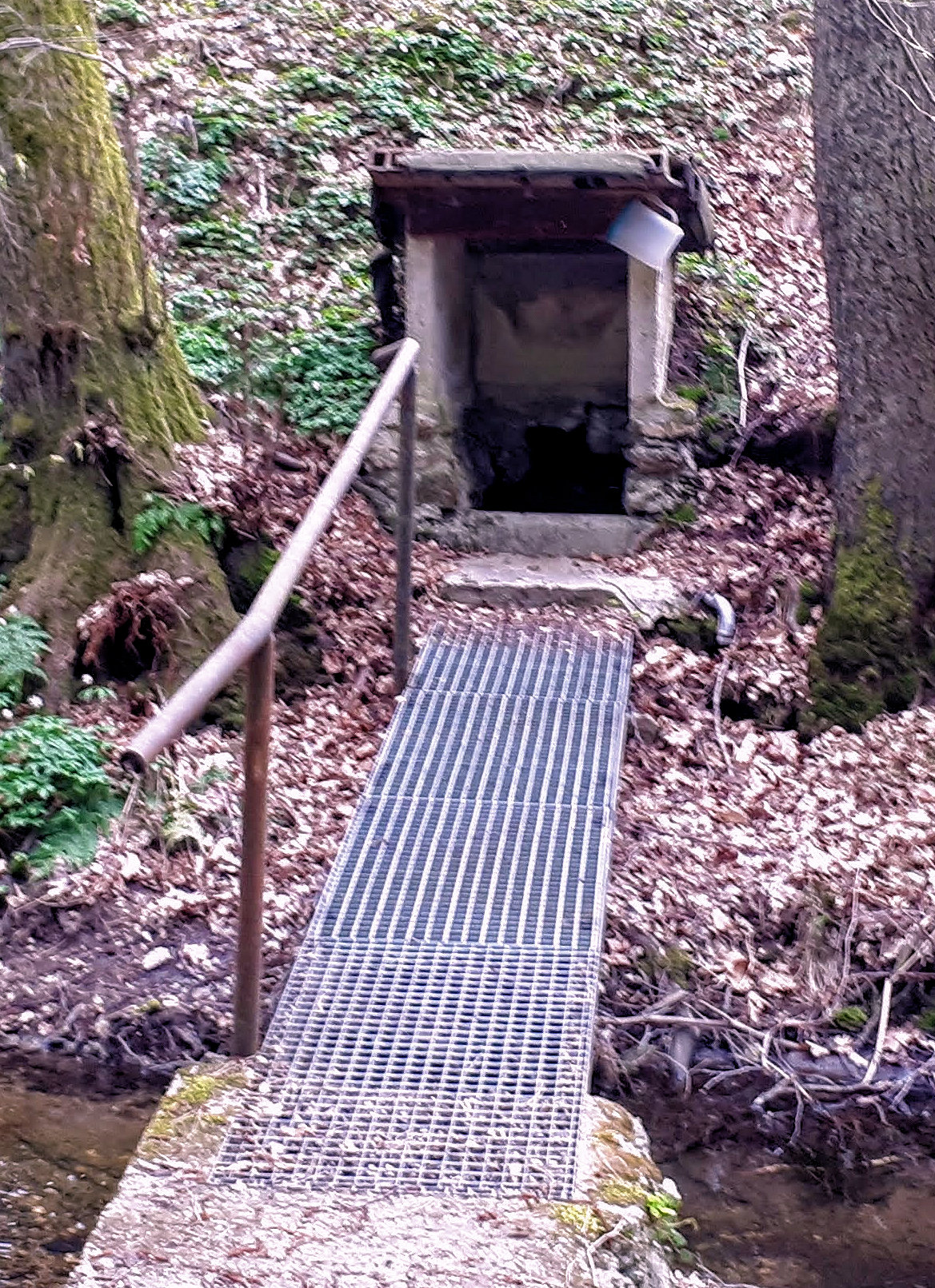 studánka bez jména (13845) - duben 2021