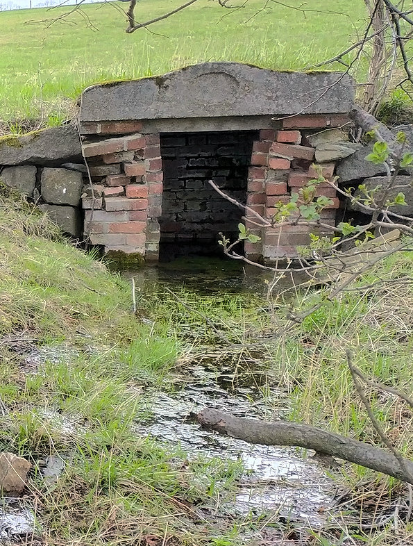 studánka Horní Vítkov (13857) - duben 2021