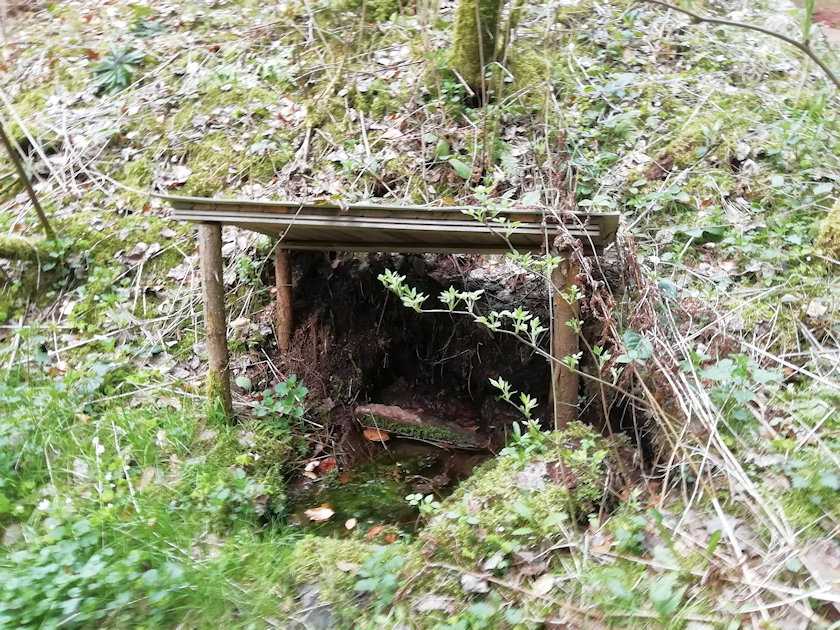 studánka V Zadních horách (13861) - květen 2021