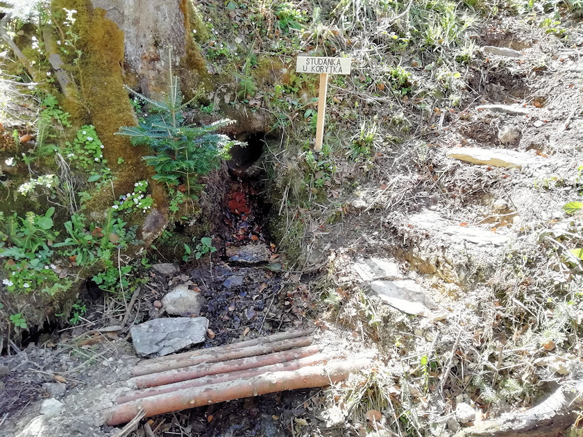 studánka U Korýtka (13864) - květen 2021
