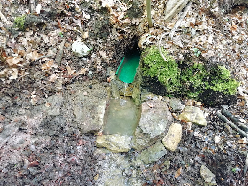 studánka U Potůčku 1 (13873) - květen 2021