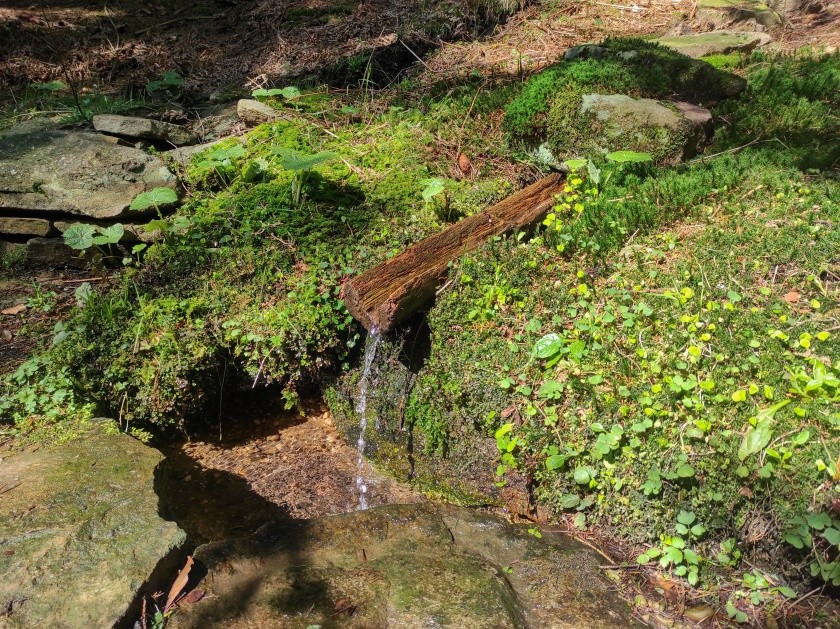 studánka U Fojtova korýtka (13881) - datum neznámé