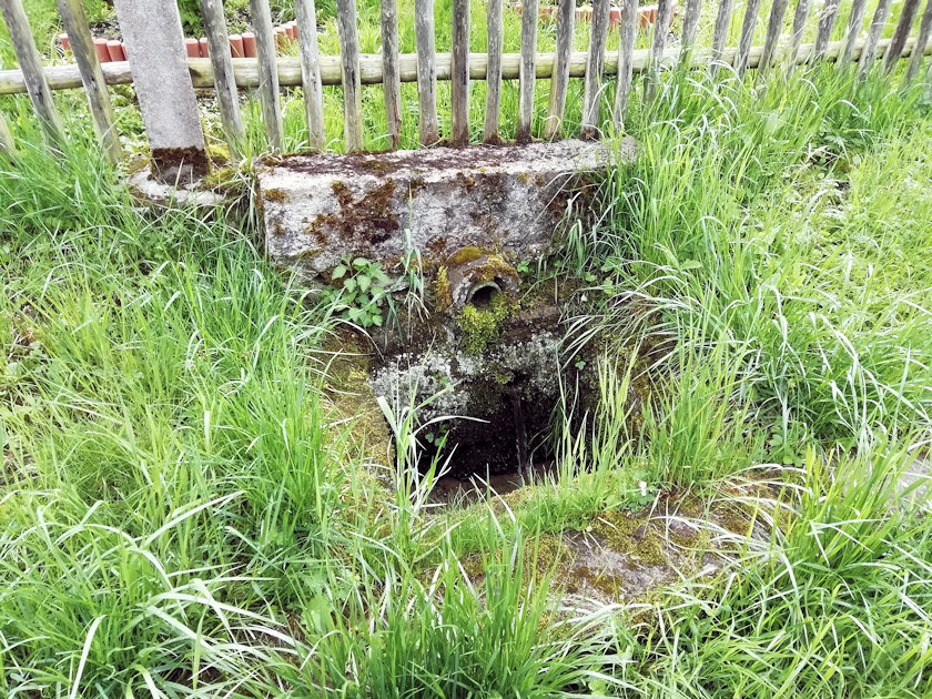 studánka bez jména (13890) - květen 2021