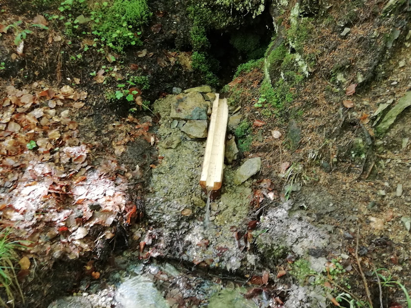 Kapičková studánka (13894) - květen 2021