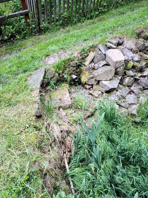 studánka Miroň (13897) - květen 2021