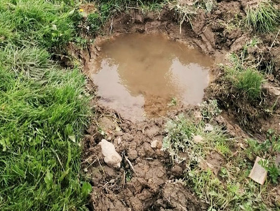 pramen Slavětínská studánka (13901) - květen 2021