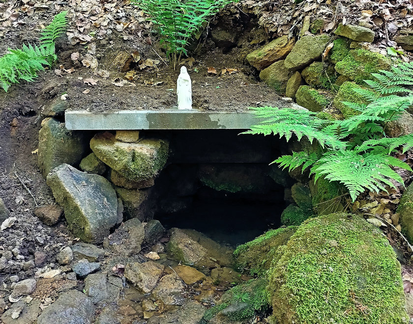 studánka V rokli (13920) - červen 2021