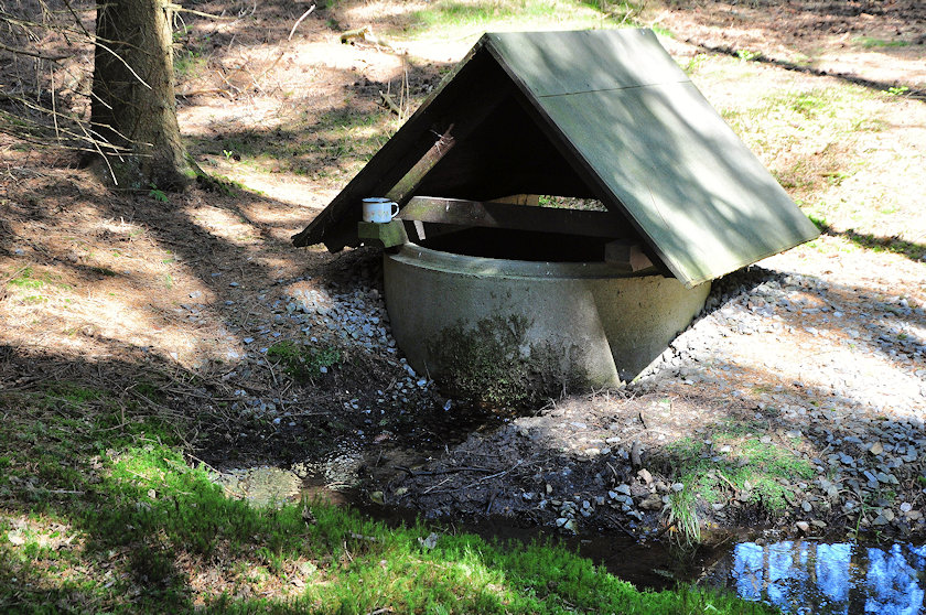 studánka U staré Svratky (13933) - červen 2021