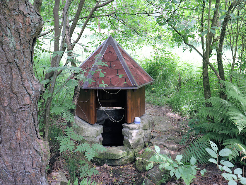 studánka bez jména (13943) - červen 2021