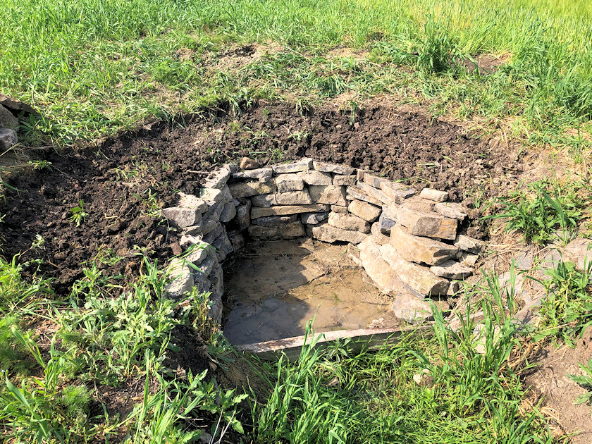 studánka bez jména (13949) - červen 2021
