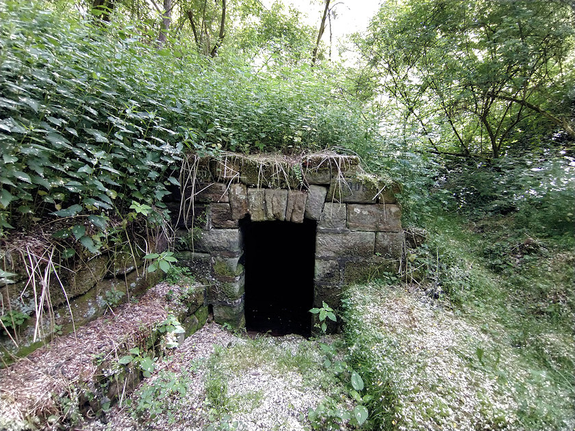 studánka bez jména (13951) - červen 2021