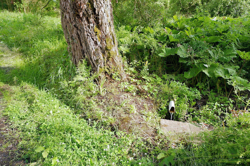 studánka Šáchův pramen (13957) - červen 2021