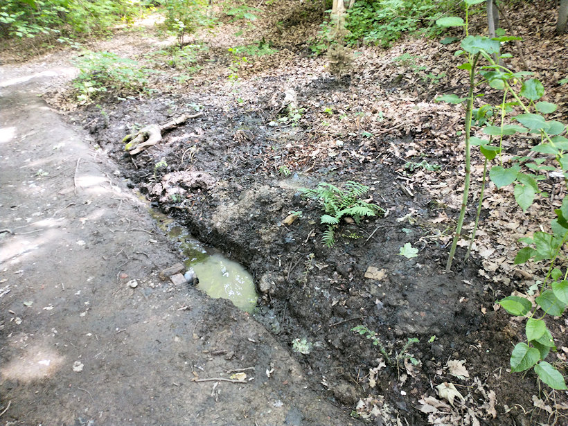 prameniště Višňovka II (13960) - červenec 2021