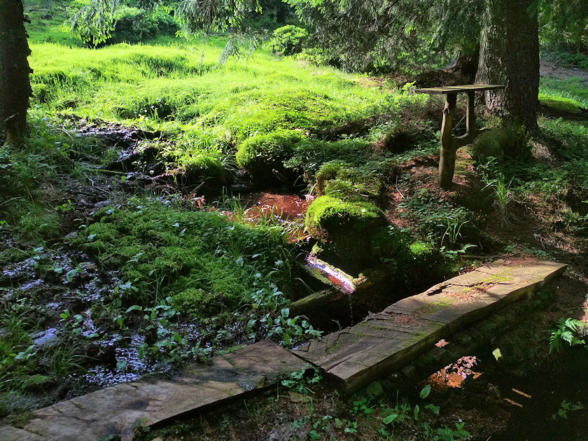 studánka U Stříbrnické chaty (13970) - červen 2021